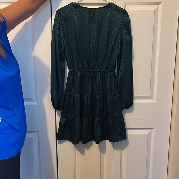 Dark Green Long Sleeve Dress - Picture 4 of 5